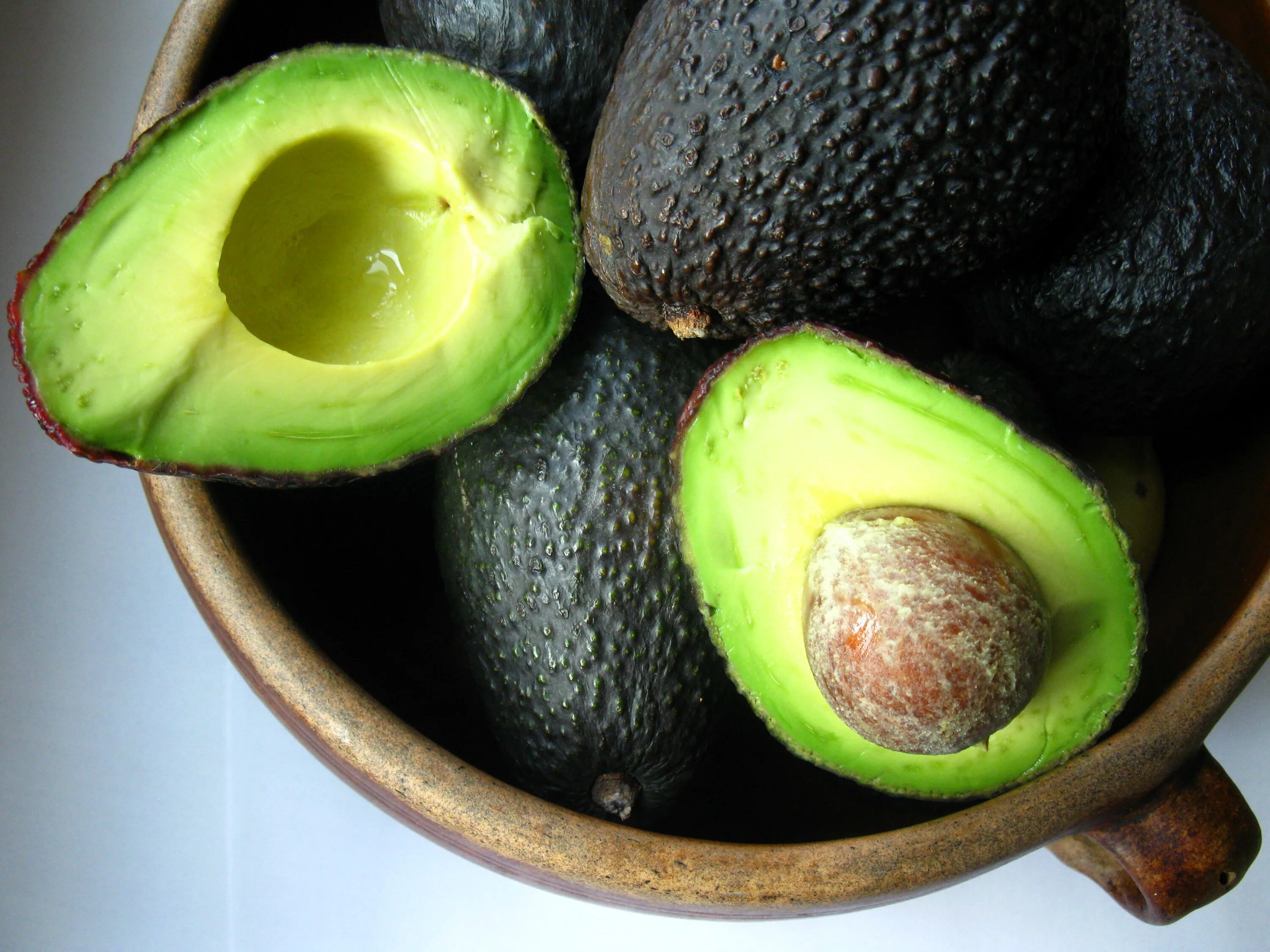 Авокадо где. Хамачи авокадо. Плантации авокадо. Цветущее дерево авокадо. Авокадо дерево.