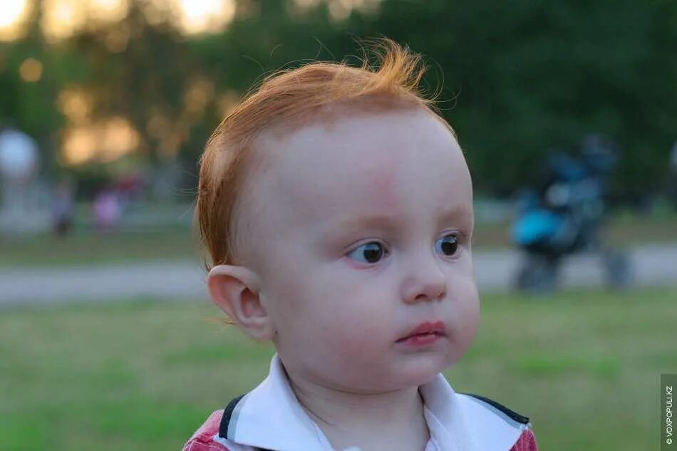 Родился рыжий ребенок у нерыжих. Родился рыжий ребенок у нерыжих. Красивые младенцы. Рыжеволосые дети. Рыжие дети с веснушками.