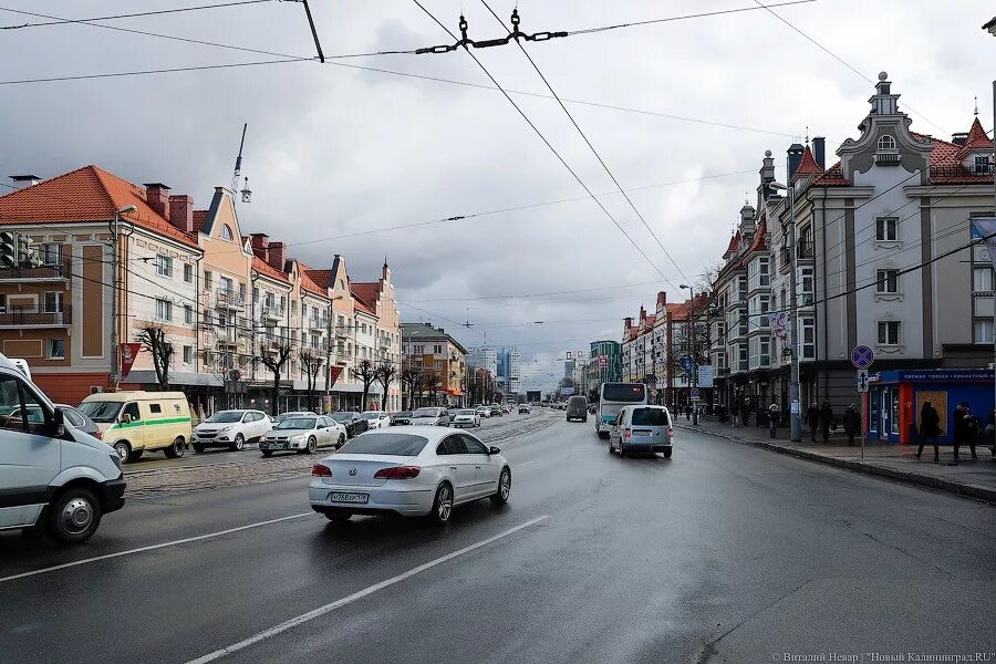 Калининград ленинский проспект дома: найдено 85 изображений