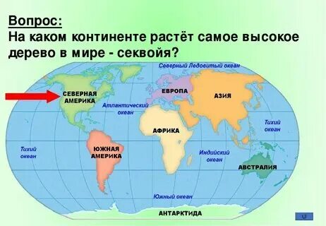 Какие материки изображены на современной карте
