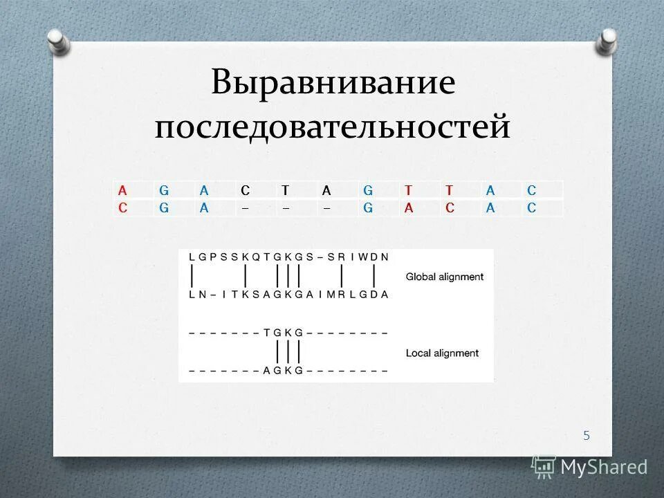 выровненные последовательности
