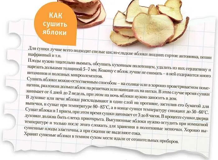 Сколько по времени нужно сушить яблоки