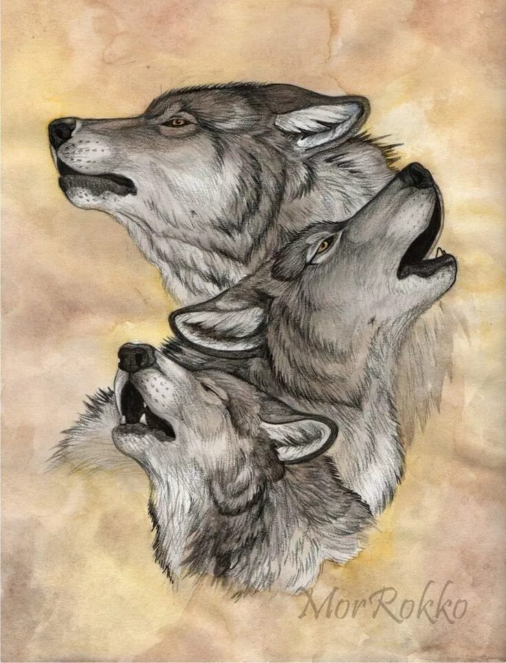 тату волчица с волчатами. тату волк и волчица. тату два волка. ьату волчица с волченком. волчонок тату.