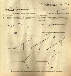 Как называется команда донка