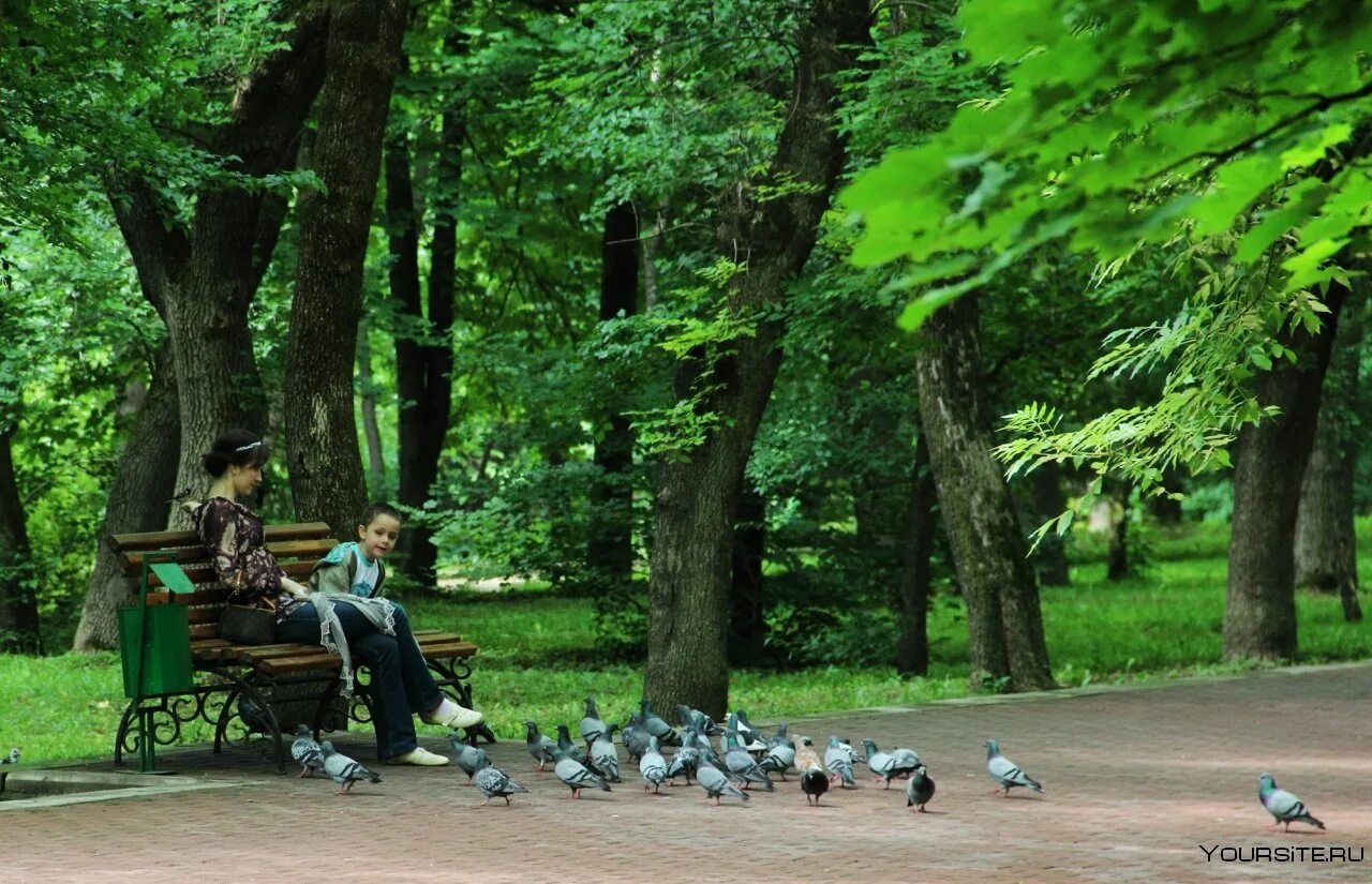 Парк с людьми. Люди в парке. Парк люди отдыхают. Отдыхающие люди в парке. Lot of people in the park