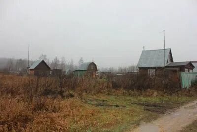 Погода в деревне каменка московская область