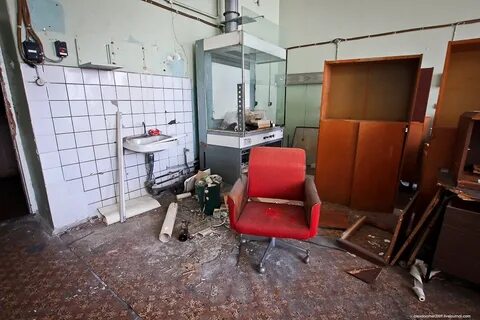Нии кашкина