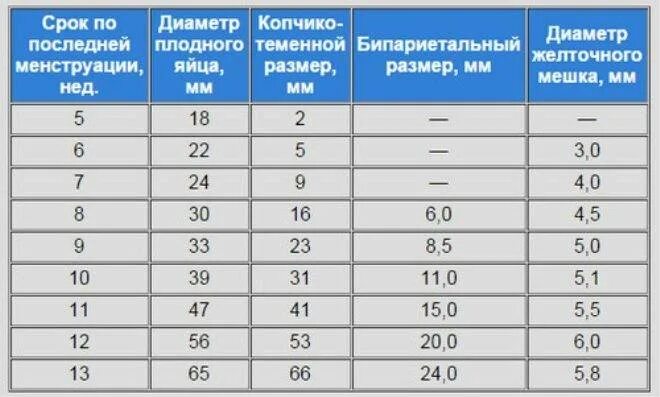 Размер плодного яйца на 6 неделе беременности по УЗИ таблица. Размер плодного яйца в 9 недель. Размер плодного яйца на 7 неделе беременности. Плодное яйцо по неделям беременности таблица.