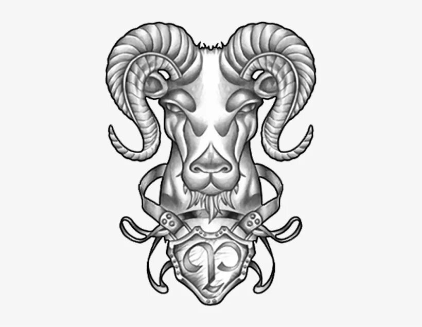 Татуировка овен эскизы. Тату овен. Тату овен для девушек эскизы. Тату овен для девушек эскизы. Тату овен для девушек эскизы.