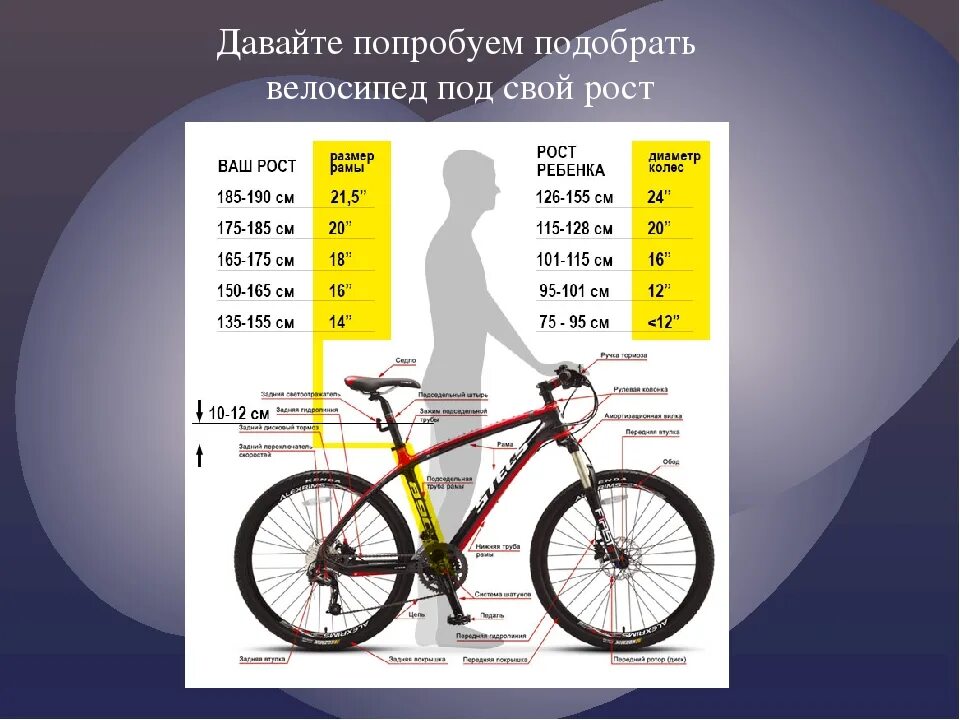Размер 24 колесо. Велосипед stels размер рамы и рост. 26 Колеса на велосипед на какой рост. Размер рамы велосипеда по росту таблица для детей. Размер рамы велосипеда под рост 170.