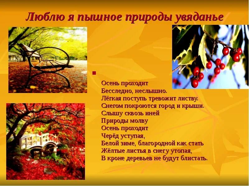 Пушкин люблю я пышное природы увяданье. Унылая пора очей очарованье приятна мне твоя прощальная краса. Пушкин люблю я пышное природы увяданье. Люблю я осени природы увяданье. В багрец и золото одетые леса средство выразительности.