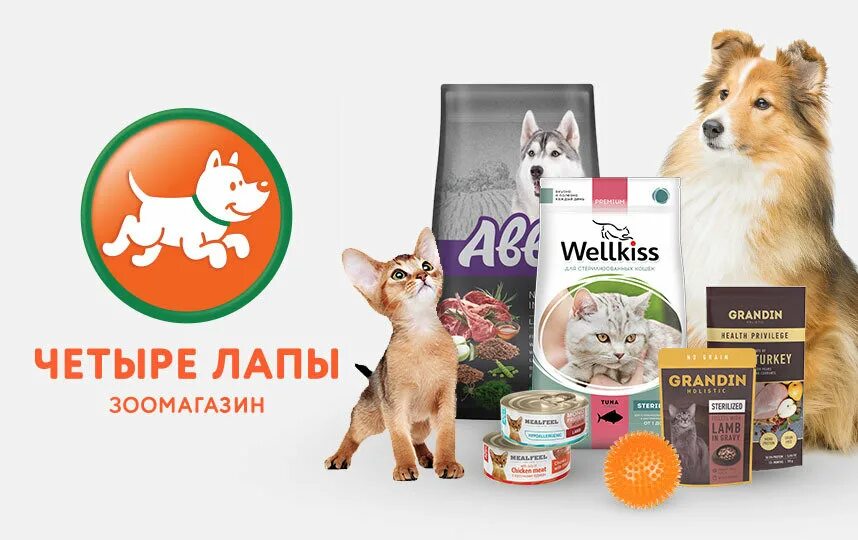 Сайт 4 лапы зоомагазин. Четыре лапы магазин для животных. четыре лапы баннер. четыре лапы реклама. интернет магазин для животных 4 лапы.