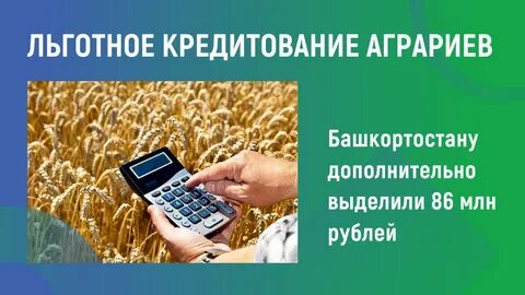 Мсх льготное кредитование