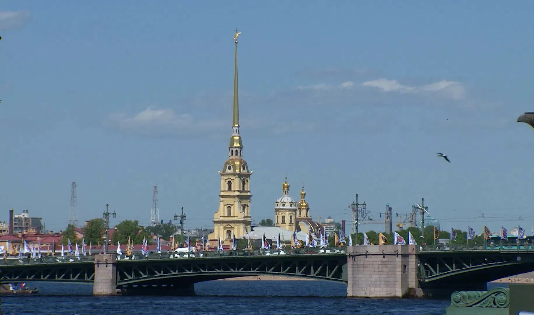 Петербург с газона. Каналы санкт-петербурга. Спб люди гуляют. Набережные с газоном в спб. Королевский мост в санкт-петербурге.