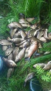 Рыбалка в дзержинске нижегородская