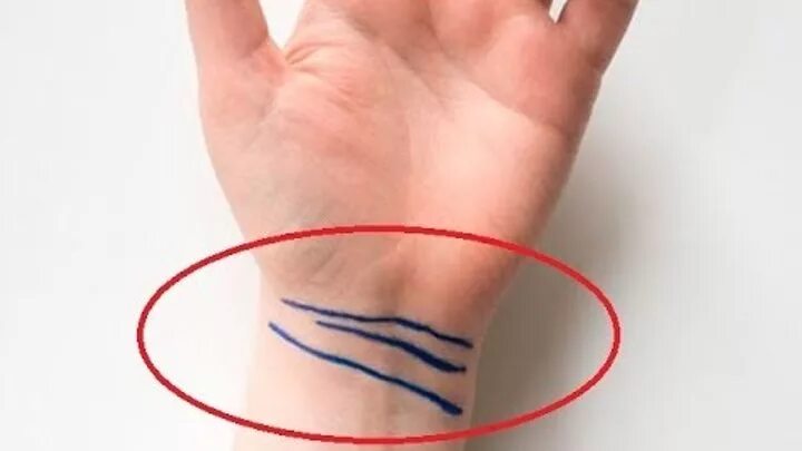 сколько линий на запястье
