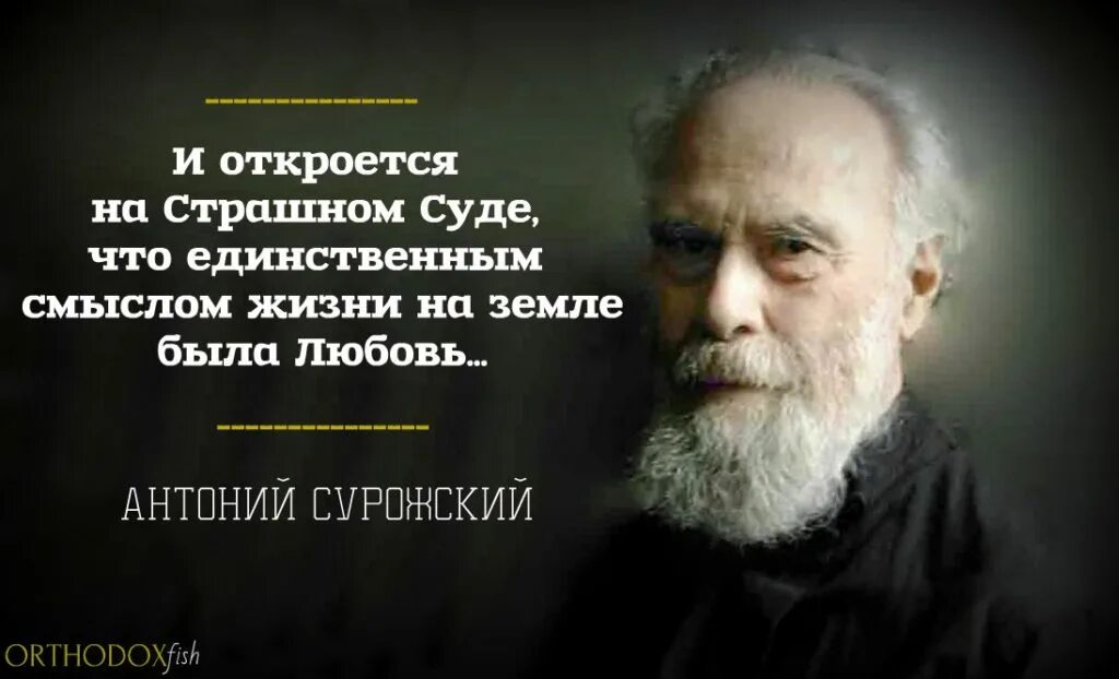 Смысл жизни отзывы. Древние философы о смысле жизни. Размышления о смысле жизни. Православные мысли о смысле жизни. Православные высказывания о смысле жизни.