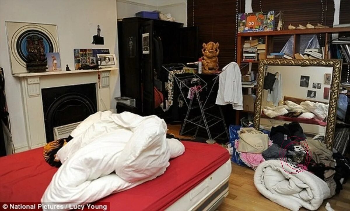 Спрятанный кот. Много котов в квартире. Переезд в квартиру. Много котов в квартире. Как найти кошку в квартире.