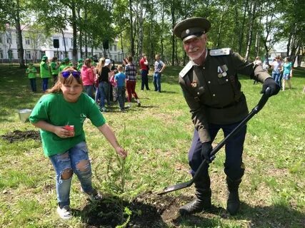 Приморское лесное хозяйство