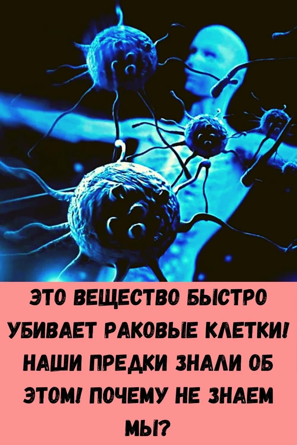 Какие клетки убивают раковые клетки