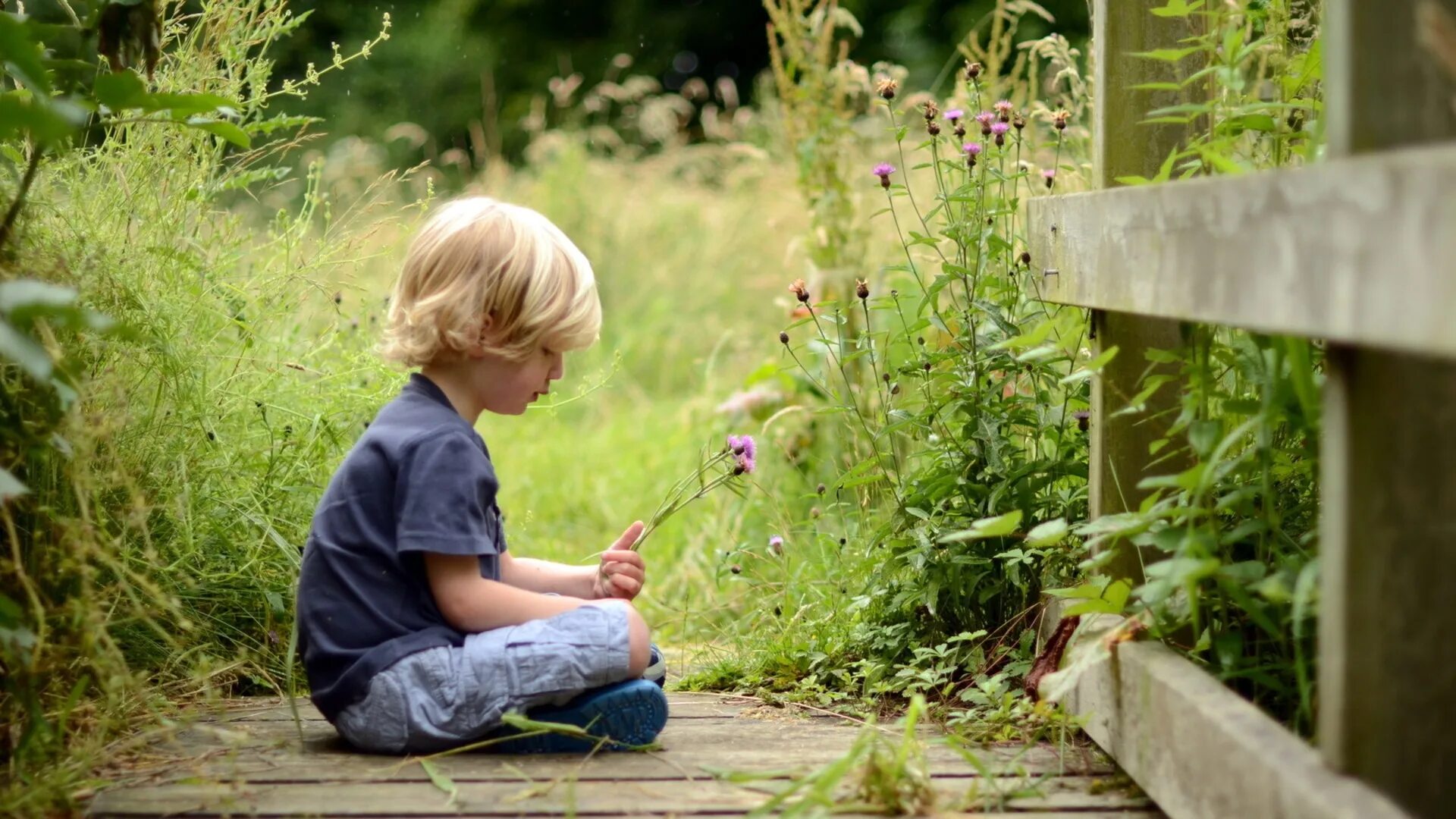 Скучаю садик. Мальчик на природе. Дети и природа. Мальчик сидит на траве. Мальчик на лужайке.