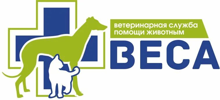 Ветеринарная клиника барри северск. Ветеринарная клиника для животных. Ветеринарный центр зевс. Альфа ветклиника балашиха. Собака в клинике.