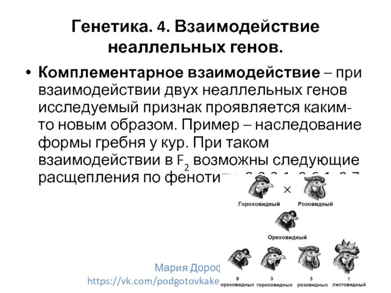 Наследование гребня у кур при комплементарности. Наследование формы гребня у кур. Генетика взаимодействие неаллельных генов. Комплементарное взаимодействие неаллельных генов.