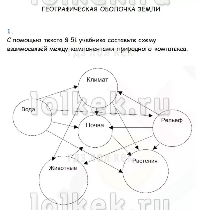 Схема между компонентами природного комплекса. Схема взаимодействия компонентов природы. Схема звезды география 5 класс. Взаимосвязь компонентов природы. Примеры взаимосвязей между компонентами природы в тайге