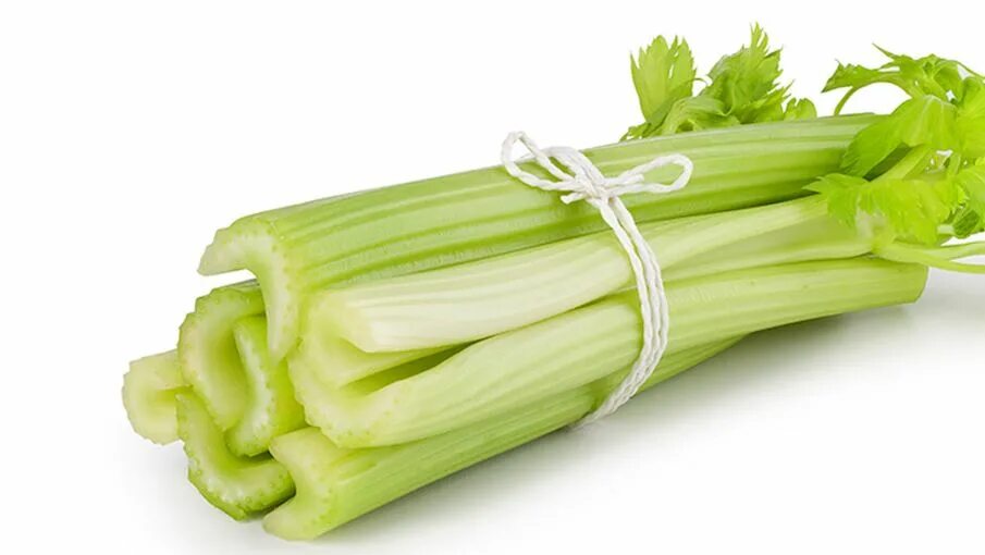 Celery scripts. Celery scripts