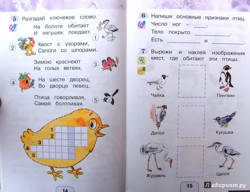 Поглазова окр мир. Окружающий мир Гармония 1 класс рабочая тетрадь. Окружающий мир 1 класс Поглазова Шилин. Окружающий мир 1 класс Гармония. Окружающий мир 1 класс рабочая тетрадь 2 часть Поглазова.