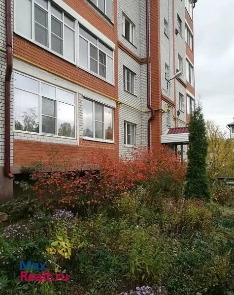 Квартира в задонске ул запрудная. Квартиры на запрудной в задонске. Квартиры задонск. Задонск запрудная 1г. Задонск улица павлова дом 20.