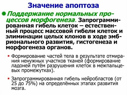 Генетический контроль процесса апоптоза