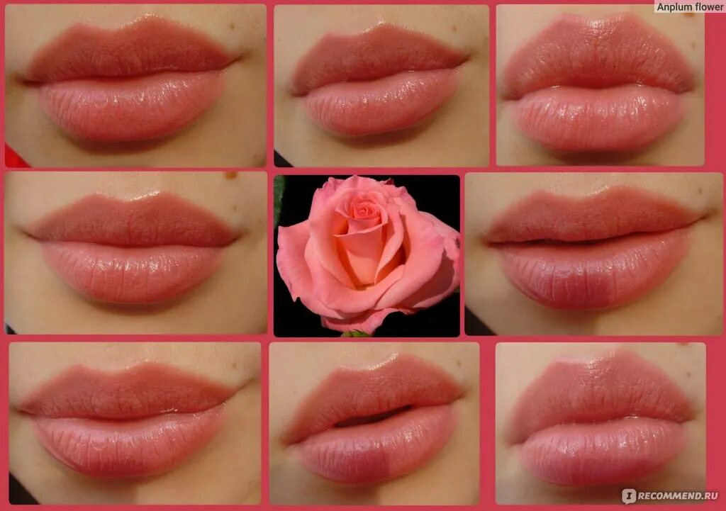 Губная помада stellary. Помада Stellary розовый Фламинго. Помада стеллари палитра. Stellary long lasting Lipstick свотчи. Губная помада Stellary Apricot 20.