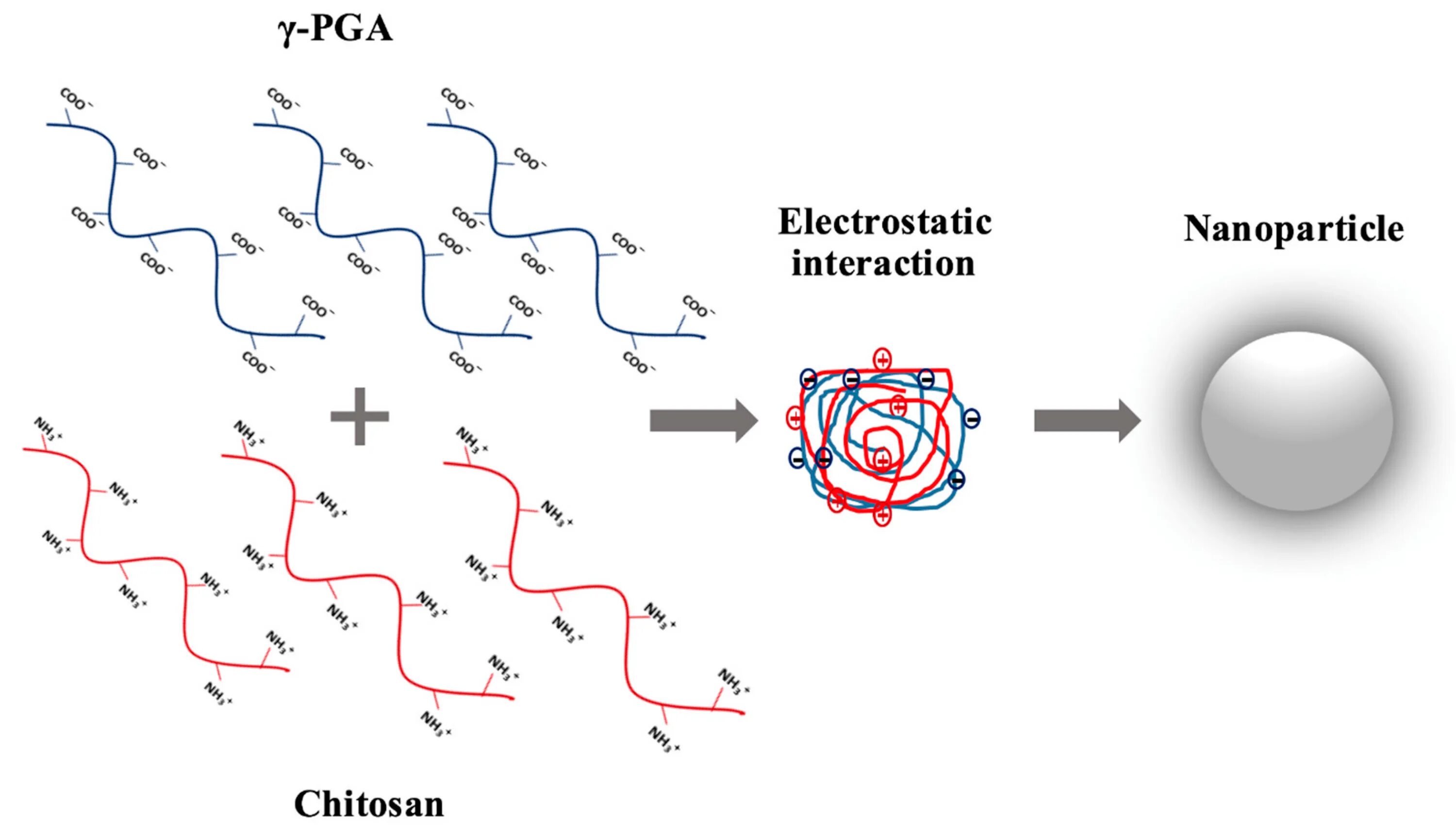 Electrostatic fields. Electrostatic interactions. интерполимерные комплексы. интерполимерный комплекс. induced electrostatic polymer.