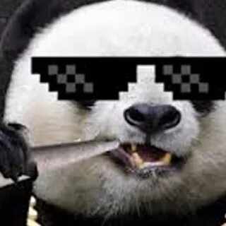Ютубер панда
