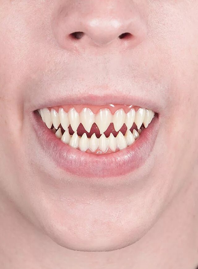 Что делают клыки зубы