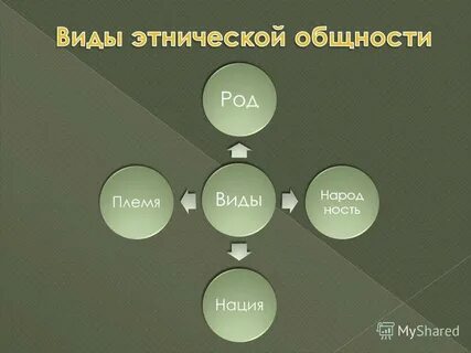 Без рода