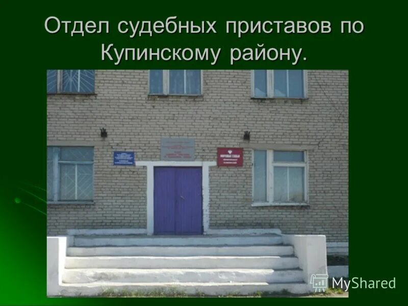 новоселье купинский район. библиотеки купинского района. купинская районная библиотека.