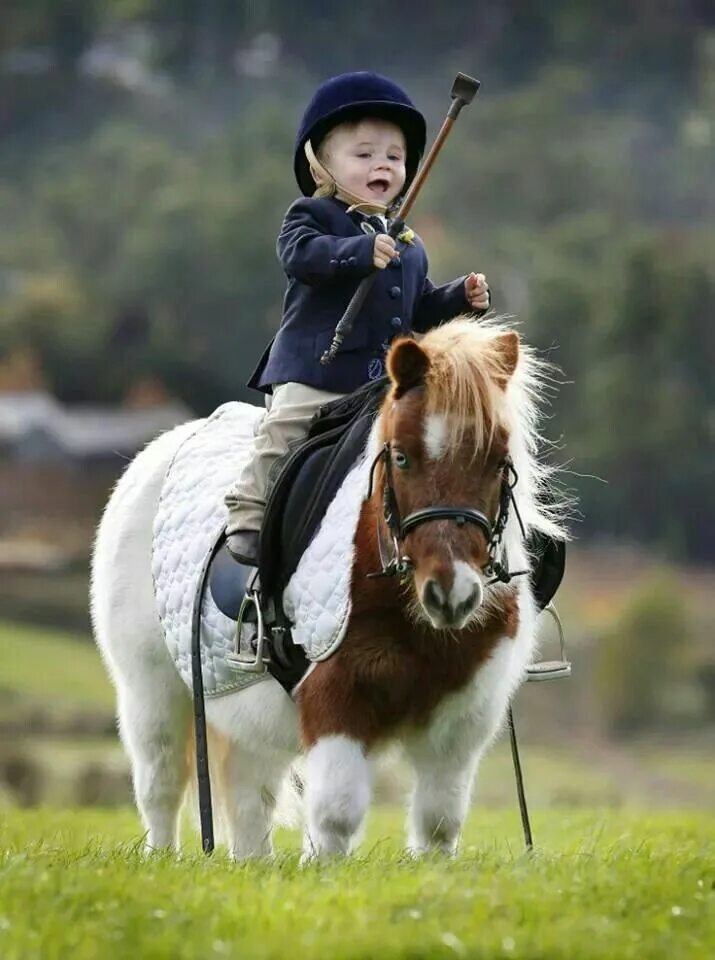 Horse kids. Мальчик верхом на лошади. Лошадь для детей. Ребенок на коне. Кататься на лошадке.