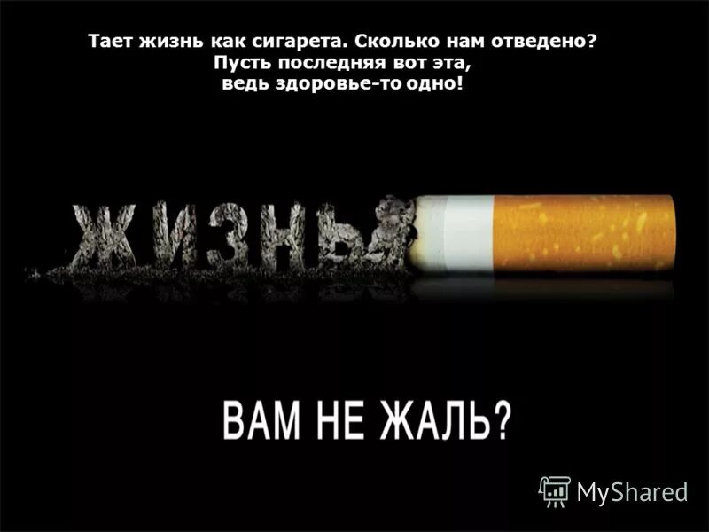 Растаяла жизнь. Растаяла жизнь