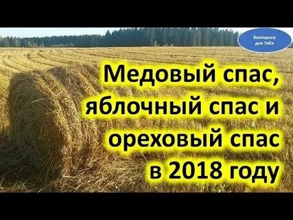 Спас 2018 году
