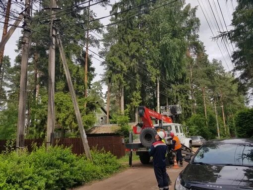 Всеволожский ньюс ленинградская область. Токсово деревья. Токсово Всеволожский район. Происшествия в Ленинградской области Токсово.