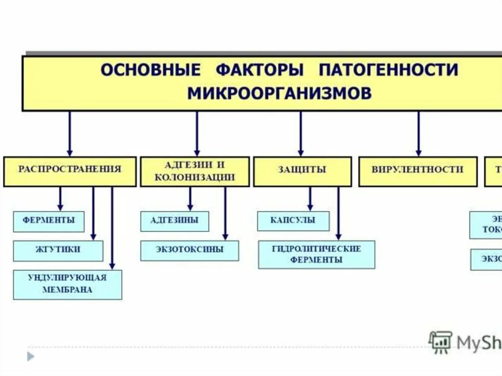 Схема факторы патогенности микроорганизмов. Основные факторы бактериальной патогенности. Факторы распространения патогенных микроорганизмов. Факторы патогенности микробиология таблица. Группы патогенных организмов