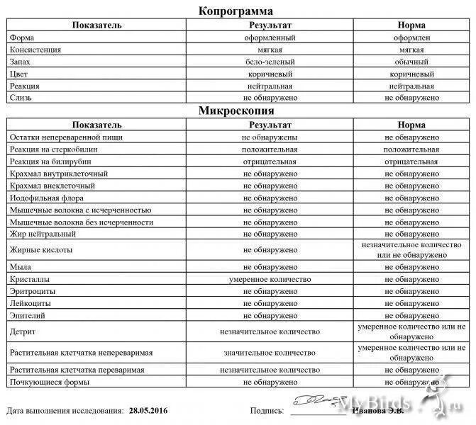 Копрограмма 2. Копрограмма здорового человека норма описание. Копрограмма кала норма у детей до года. Разбор копрограммы грудничка. Копрограмма норма заключение.