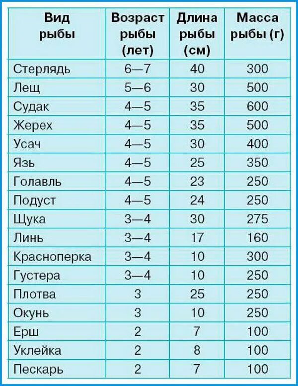 Как узнать возраст рыбы впр 5 класс. Вес и возраст рыбы. таблица веса и возраста рыбы. возраст рыбы по весу. размер рыбы в зависимости от возраста.