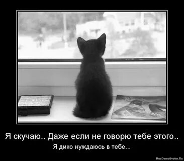 Да я скучала