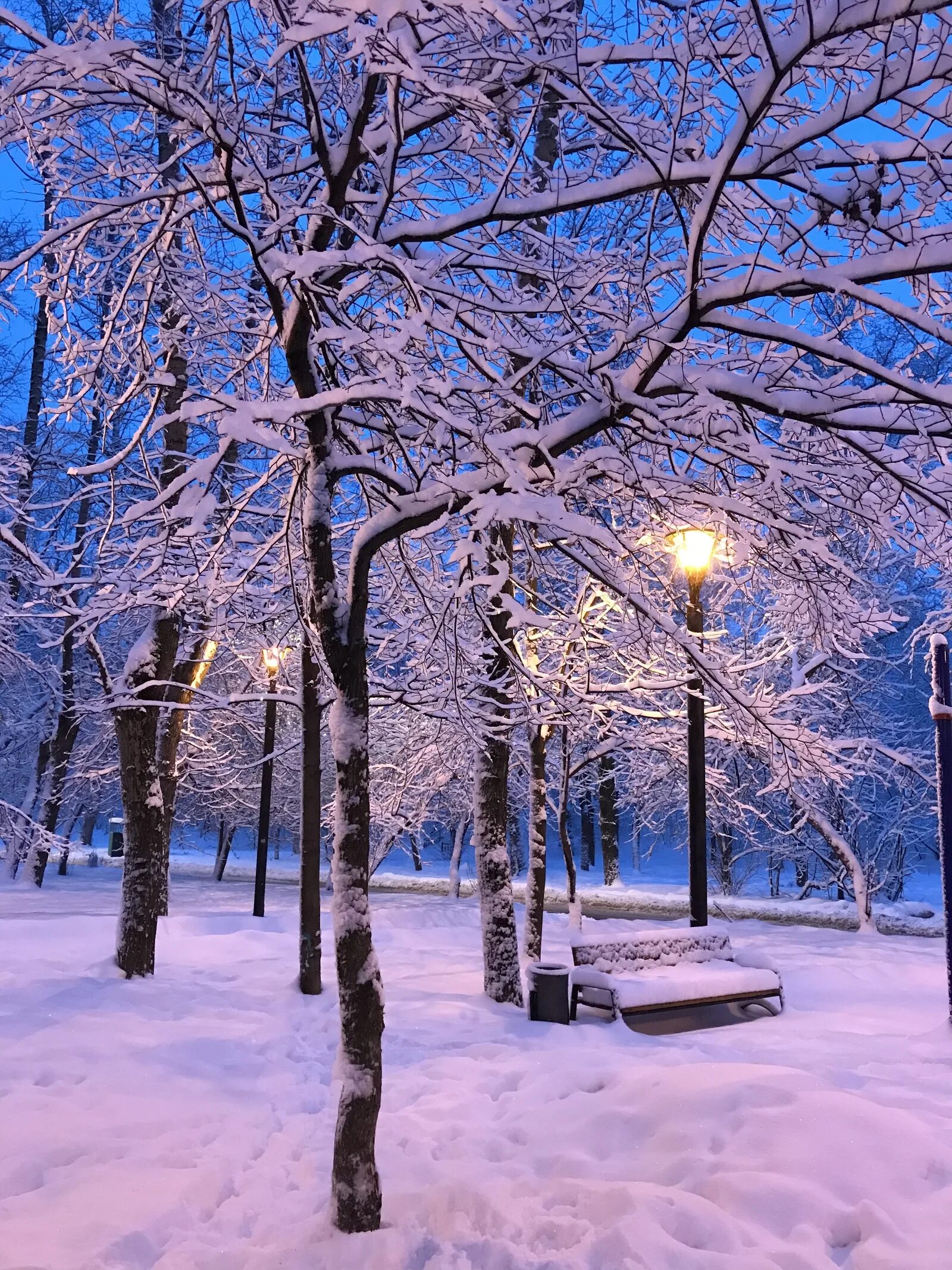Зима февраль мороз не отступает. Начинающая зима. Снежное утро. Снежный пейзаж. Зимний пейзаж снегопад.