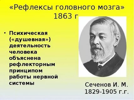 Понятие рефлекс ввел
