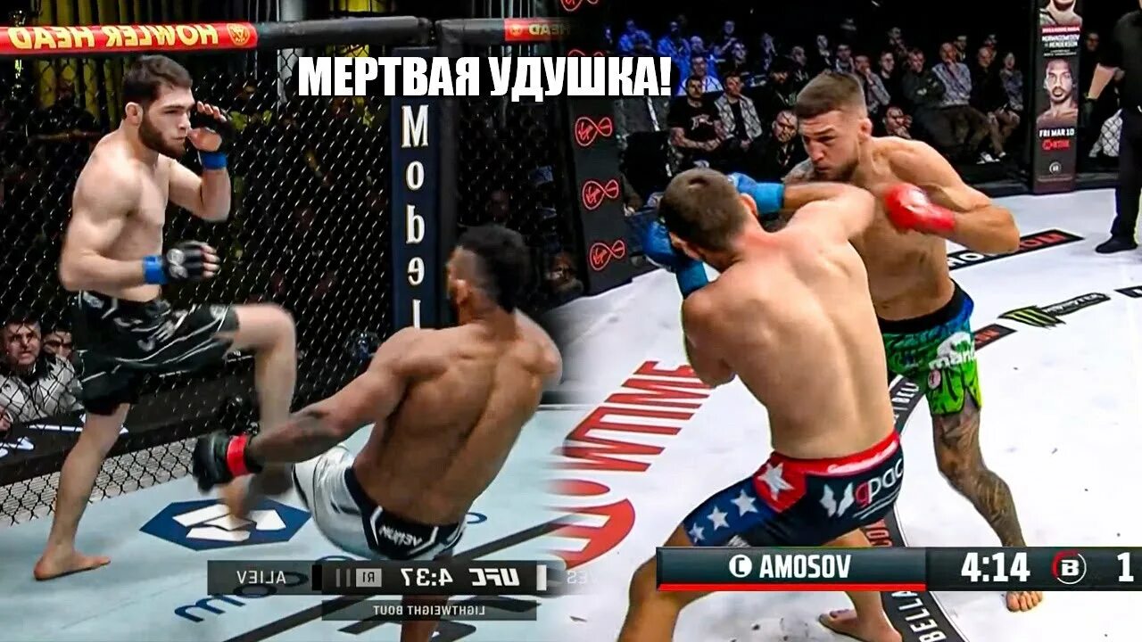 Смешанные единоборства. Обзор ufc 299