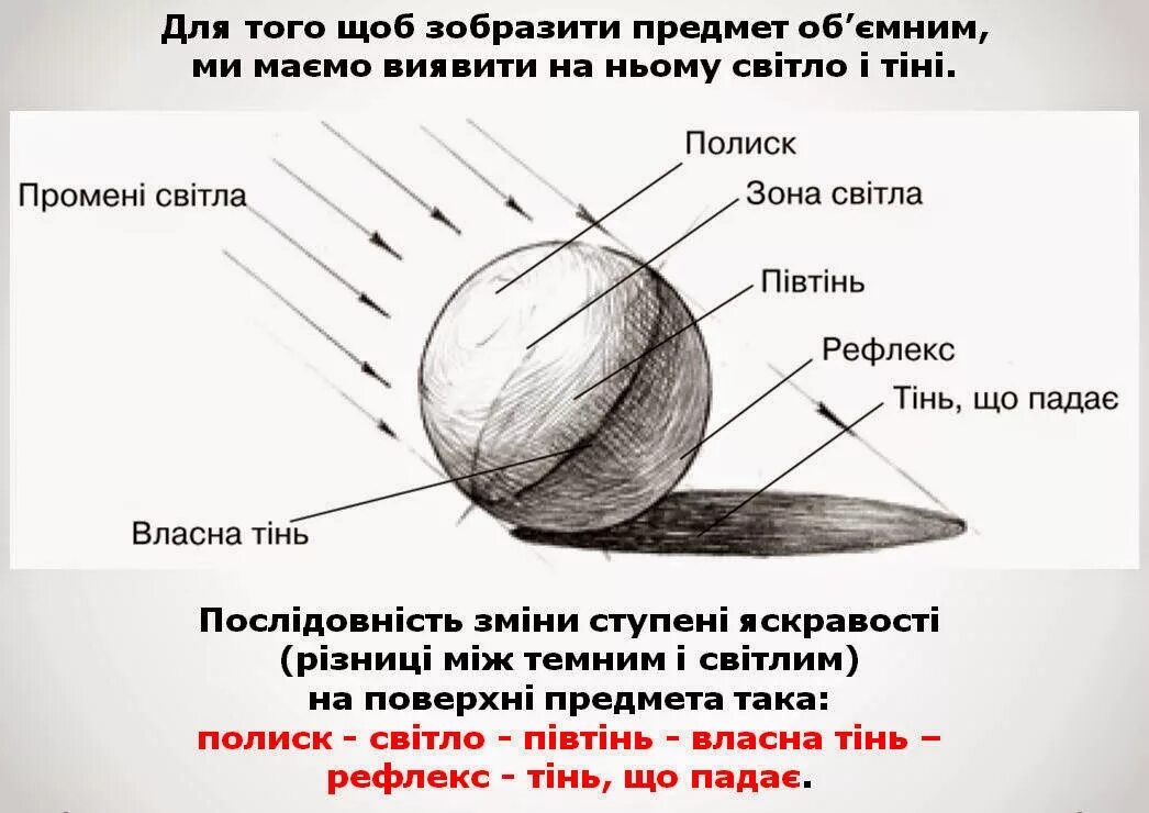 Свет тень на шаре. Блик тень полутень рефлекс в рисунке. Шар Светотень. Светотень схема. Распределение светотени на шаре.